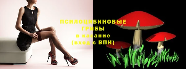 ПСИЛОЦИБИНОВЫЕ ГРИБЫ Семилуки