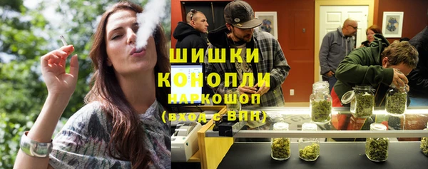 ПСИЛОЦИБИНОВЫЕ ГРИБЫ Семилуки