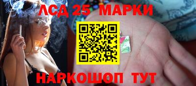 индика Бийск