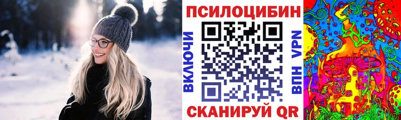 Псилоцибиновые грибы Cubensis  дарк нет Telegram  гидра маркетплейс  Каменск-Шахтинский  где продают  