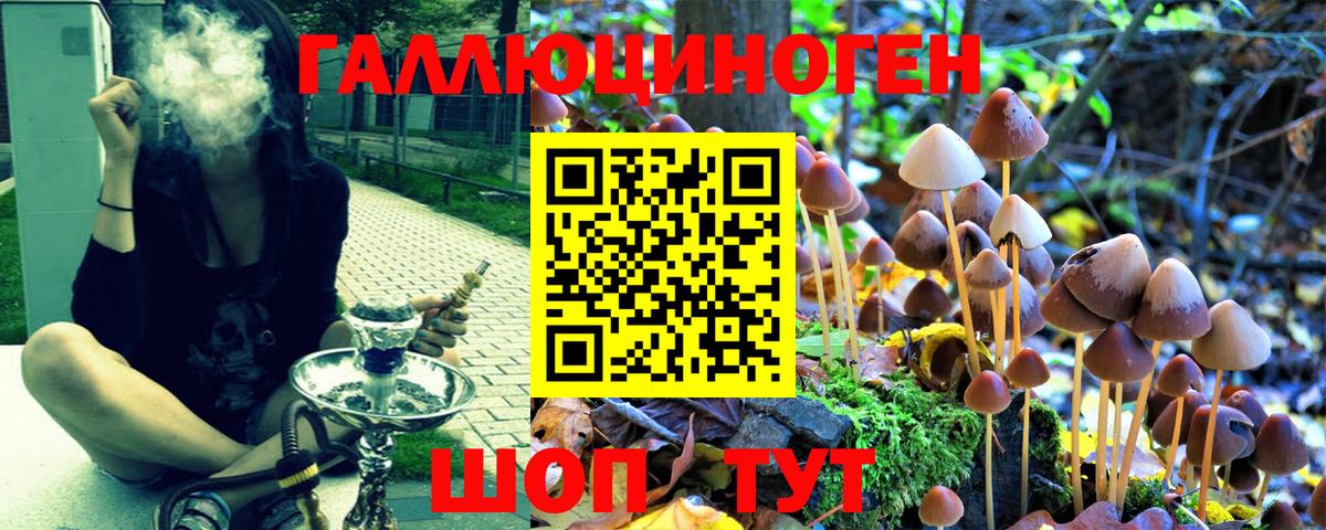 Галлюциногенные грибы Cubensis Каменск-Шахтинский