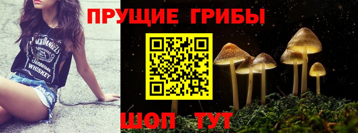 Каменск-Шахтинский  Псилоцибиновые грибы Psilocybine cubensis  Вход с VPN 